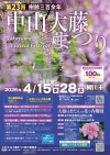 柳川市「中山大藤まつり2026」　樹齢約300年の大藤が会場中を藤の香りで包み込む！