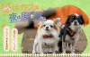 「想咲ダイニング憩」って犬と人の憩いの場が4月29日にオープンするみたい。昼はカフェ、夜は居酒屋（広川町）