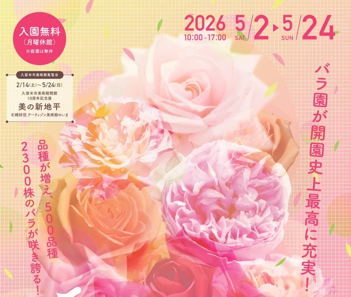 石橋文化センター「春のバラフェア2026」バラ園が開園史上最高に充実！品種増加で華やかに（久留米市）