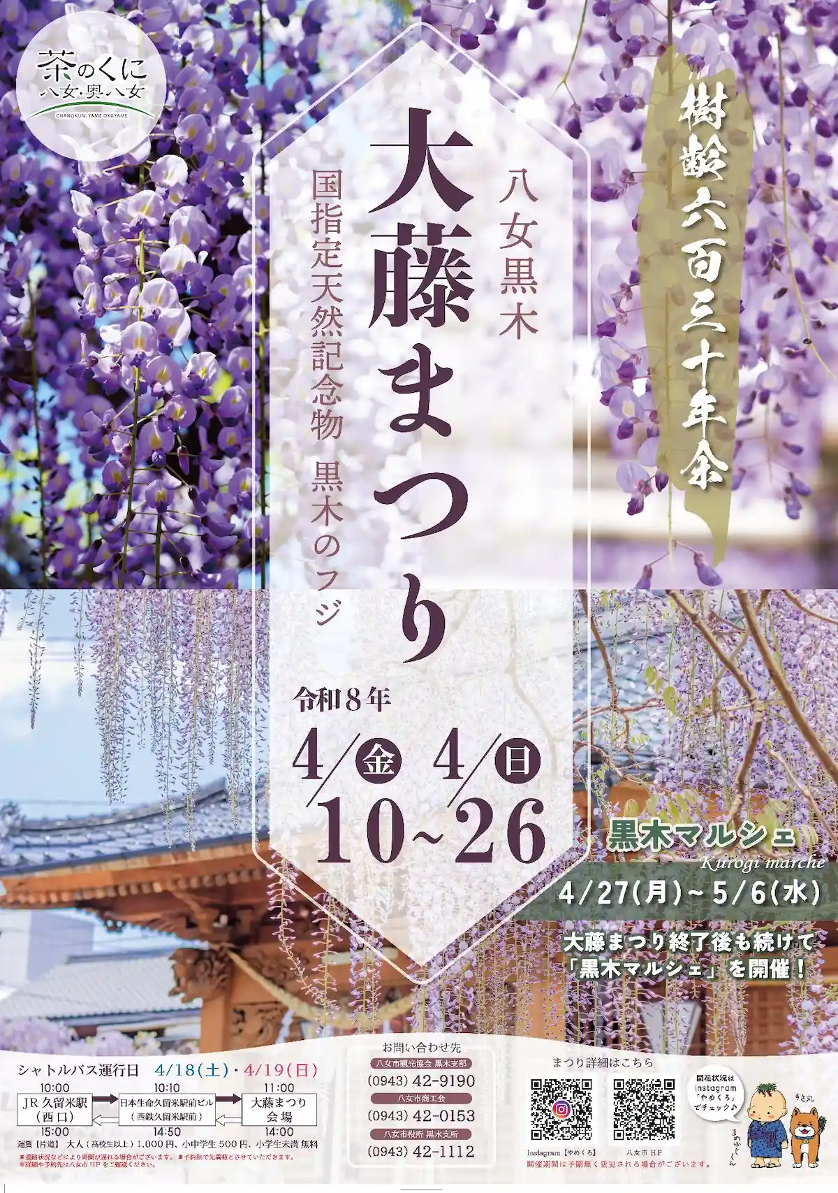 「八女黒木大藤まつり2026」満開のフジの花が会場を包み込む！黒木の特産品を楽しめる物産展なども開催