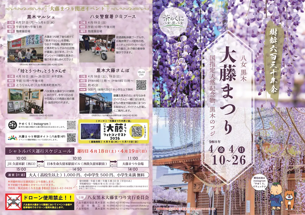 「令和8年度八女黒木大藤まつり」の内容①
