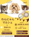 筑後「わんにゃんマルシェ」開催　可愛い・癒し・美味しいがギュっと詰まった特別な1日！