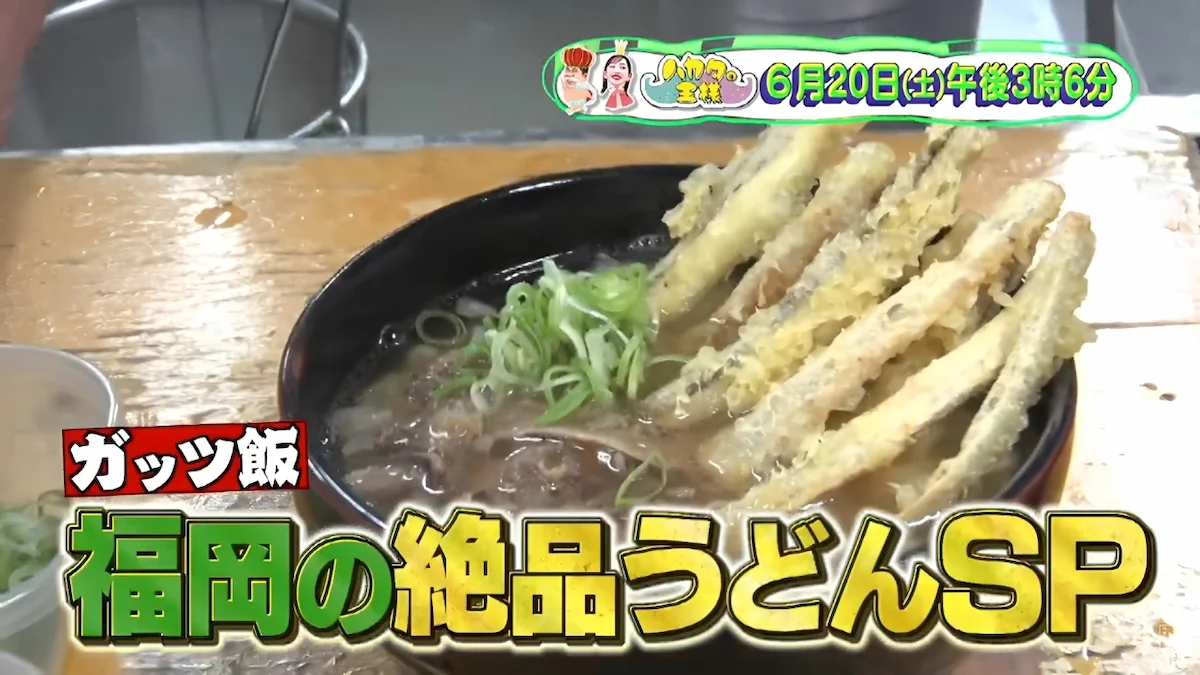 福岡の絶品うどんSP！まだまだあった旨すぎうどん店「ハカタの王様」6月20日放送