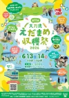「大刀洗えだまめ収穫祭2026」大刀洗の旬を味わい尽くす！地元グルメも勢揃い（大刀洗町）
