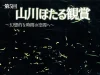 「山川ほたる観賞2026」この時期だけの飛び交うゲンジボタルの幻想的な空間！（みやま市）