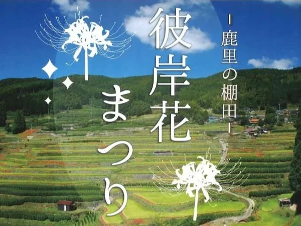 「鹿里彼岸花まつり2026」9月開催！農産物の販売やステージイベントも（八女市）