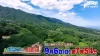 9/6放送「ポツンと一軒家」はうきは市の柿農家！オープンカーで農作業！？