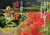 「棚田inうきは彼岸花めぐり2026」9月開催！約50万本の彼岸花が棚田のあぜに咲き乱れる（うきは市）